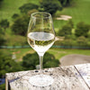 Stolzle Exquisit White Wine Glasses 350ml - Set of 6 Stemware Stolzle 